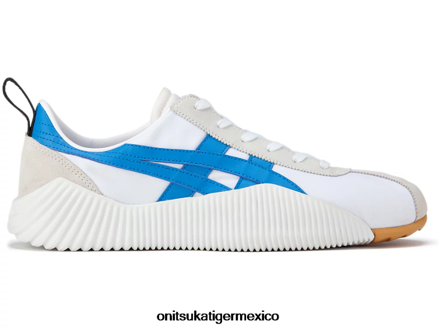 directorio blanco/azul