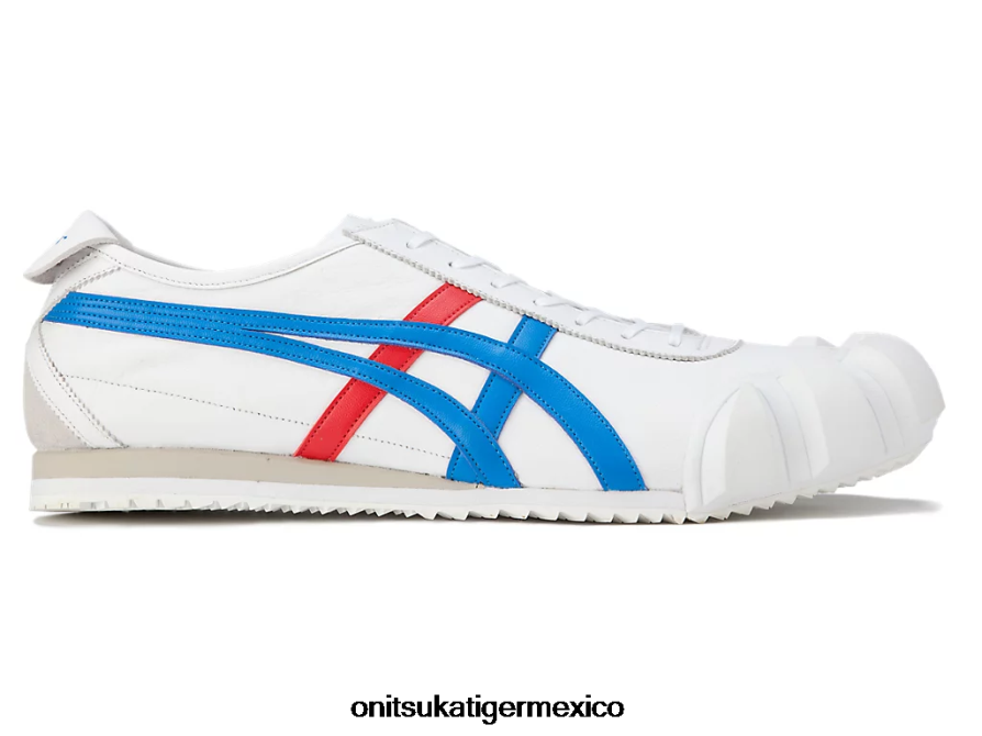 directorio blanco/azul