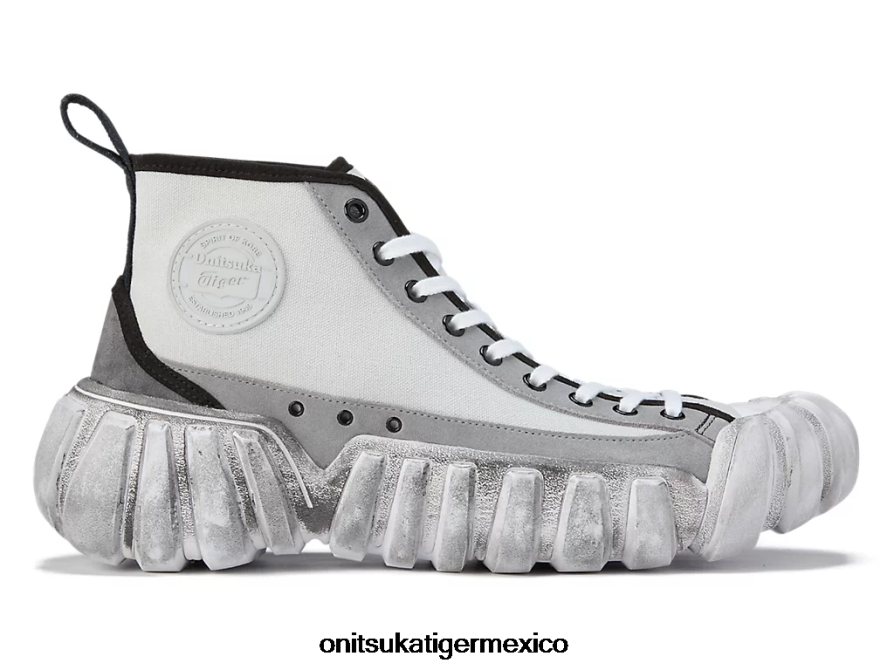 gris glaciar/chapa de roca