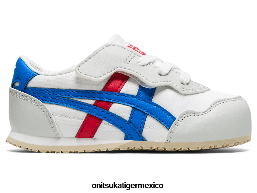 directorio blanco/azul