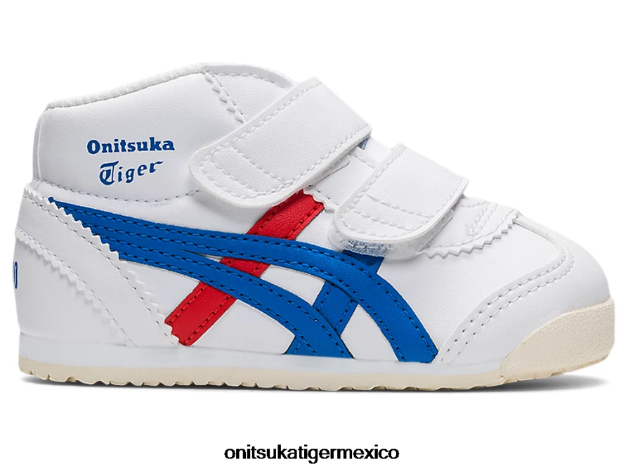 directorio blanco/azul