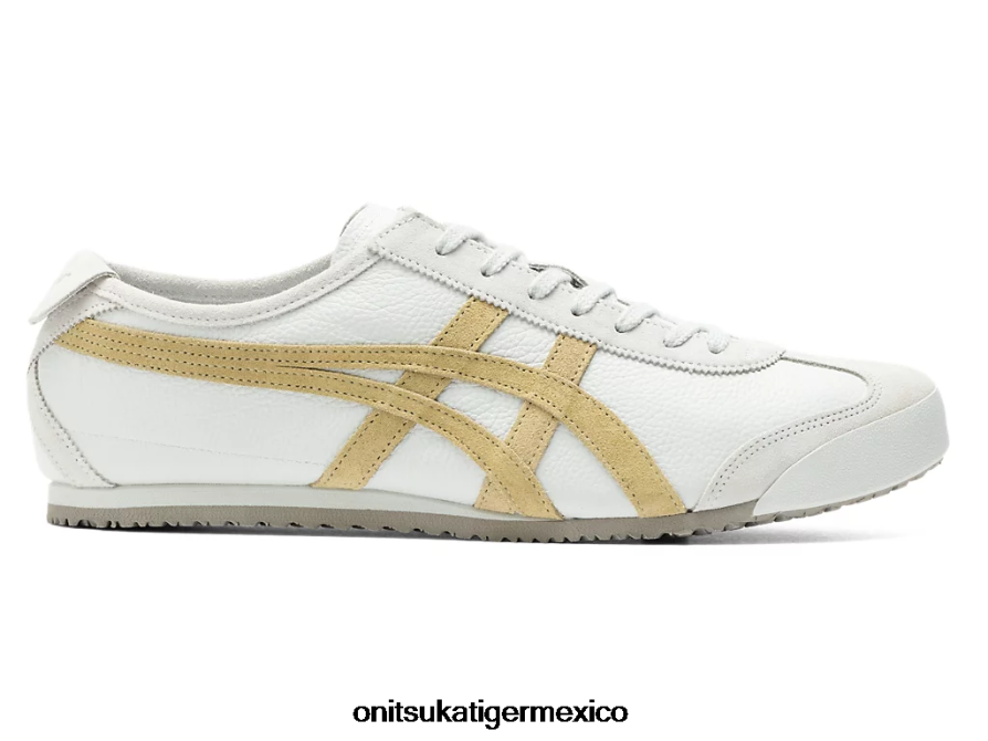 gris glaciar/beige caqui